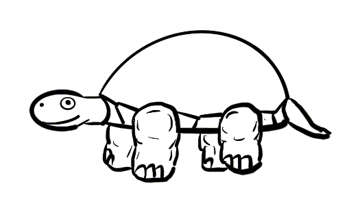 turtle